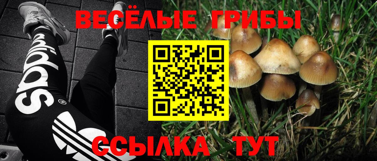 Галлюциногенные грибы GOLDEN TEACHER Первоуральск